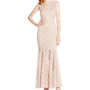 NWT Sleeveless Glitter Stretch Lace Gown